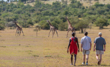 best family safaris in Kenya