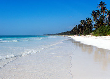 Diani Diani
