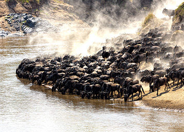 Great Migration Great Migration