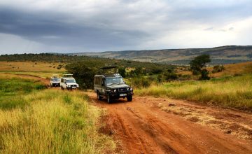 Kenyan Safari Adventure