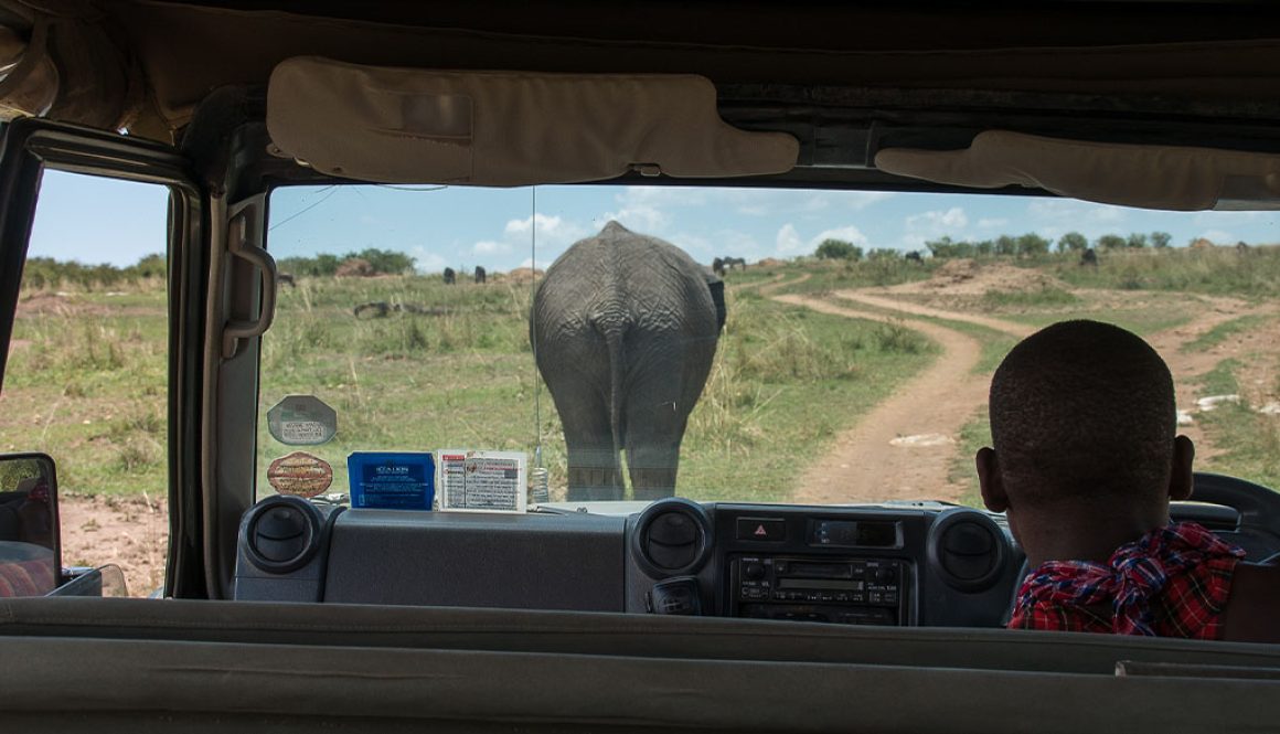 Traffic on the game drive